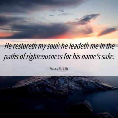 Picture 06 - Psalms 23:3 KJV - He restoreth my soul: he leadeth me in the paths - Bible Verse Picture