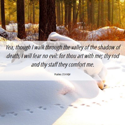Picture 06 - Psalms 23:4 KJV - Yea, though I walk through the valley of the - Bible Verse Picture