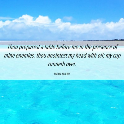 Picture 06 - Psalms 23:5 KJV - Thou preparest a table before me in the presence - Bible Verse Picture