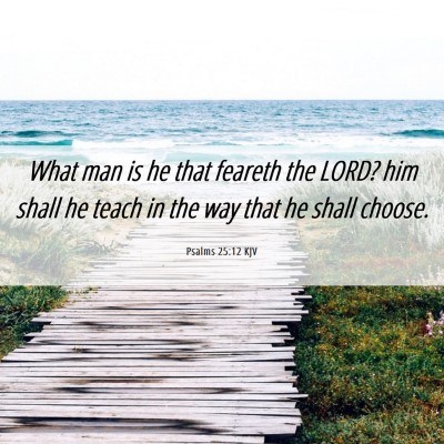 Picture 06 - Psalms 25:12 KJV - What man is he that feareth the LORD? him shall - Bible Verse Picture