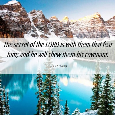 Picture 06 - Psalms 25:14 KJV - The secret of the LORD is with them that fear - Bible Verse Picture