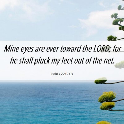 Picture 06 - Psalms 25:15 KJV - Mine eyes are ever toward the LORD; for he shall - Bible Verse Picture