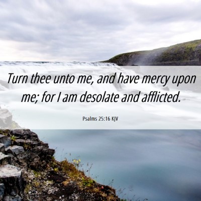 Picture 06 - Psalms 25:16 KJV - Turn thee unto me, and have mercy upon me; for I - Bible Verse Picture