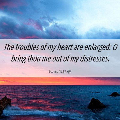 Picture 06 - Psalms 25:17 KJV - The troubles of my heart are enlarged: O bring - Bible Verse Picture