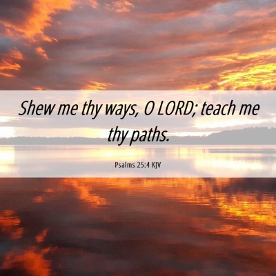 Picture 06 - Psalms 25:4 KJV - Shew me thy ways, O LORD; teach me thy - Bible Verse Picture