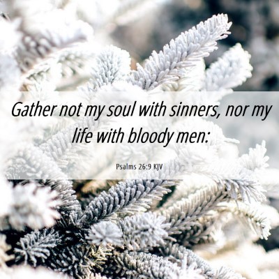 Picture 06 - Psalms 26:9 KJV - Gather not my soul with sinners, nor my life with - Bible Verse Picture