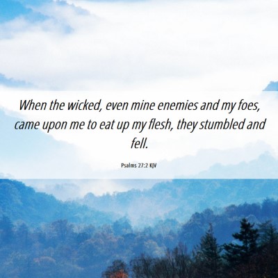 Picture 06 - Psalms 27:2 KJV - When the wicked, even mine enemies and my foes, - Bible Verse Picture