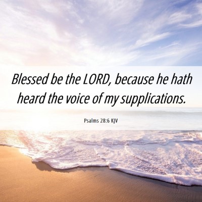 Picture 06 - Psalms 28:6 KJV - Blessed be the LORD, because he hath heard the - Bible Verse Picture