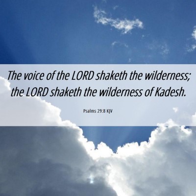 Picture 06 - Psalms 29:8 KJV - The voice of the LORD shaketh the wilderness; the - Bible Verse Picture