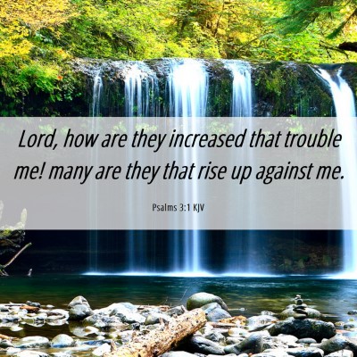 Picture 06 - Psalms 3:1 KJV - Lord, how are they increased that trouble me! - Bible Verse Picture