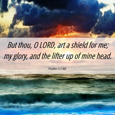 Picture 06 - Psalms 3:3 KJV - But thou, O LORD, art a shield for me; my glory, - Bible Verse Picture