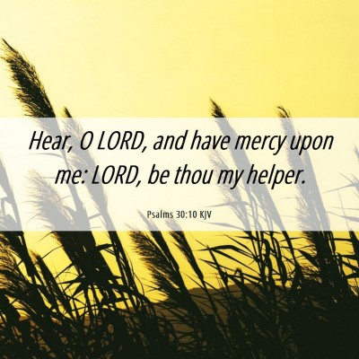 Picture 06 - Psalms 30:10 KJV - Hear, O LORD, and have mercy upon me: LORD, be - Bible Verse Picture