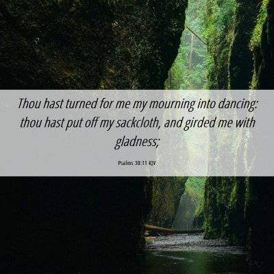 Picture 06 - Psalms 30:11 KJV - Thou hast turned for me my mourning into dancing: - Bible Verse Picture
