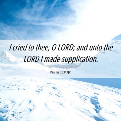 Picture 06 - Psalms 30:8 KJV - I cried to thee, O LORD; and unto the LORD I made - Bible Verse Picture