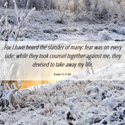 Picture 06 - Psalms 31:13 KJV - For I have heard the slander of many: fear was on - Bible Verse Picture