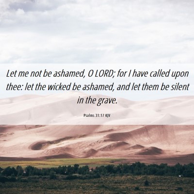 Picture 06 - Psalms 31:17 KJV - Let me not be ashamed, O LORD; for I have called - Bible Verse Picture