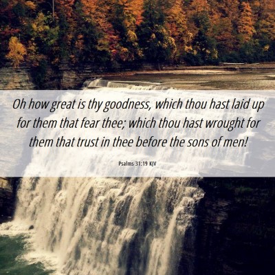 Picture 06 - Psalms 31:19 KJV - Oh how great is thy goodness, which thou hast - Bible Verse Picture
