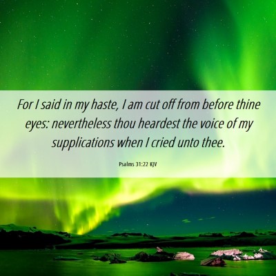Picture 06 - Psalms 31:22 KJV - For I said in my haste, I am cut off from before - Bible Verse Picture