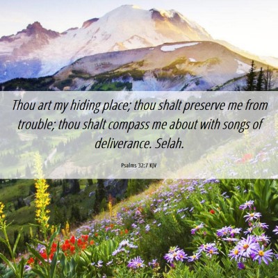 Picture 06 - Psalms 32:7 KJV - Thou art my hiding place; thou shalt preserve me - Bible Verse Picture