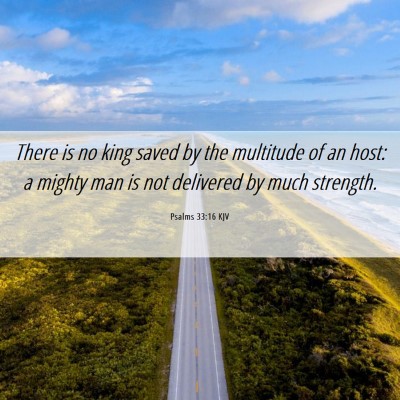 Picture 06 - Psalms 33:16 KJV - There is no king saved by the multitude of an - Bible Verse Picture