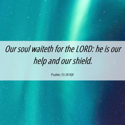 Picture 06 - Psalms 33:20 KJV - Our soul waiteth for the LORD: he is our help and - Bible Verse Picture