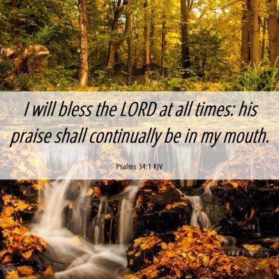 Picture 06 - Psalms 34:1 KJV - I will bless the LORD at all times: his praise - Bible Verse Picture