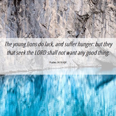 Picture 06 - Psalms 34:10 KJV - The young lions do lack, and suffer hunger: but - Bible Verse Picture
