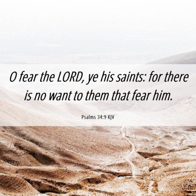 Picture 06 - Psalms 34:9 KJV - O fear the LORD, ye his saints: for there is no - Bible Verse Picture