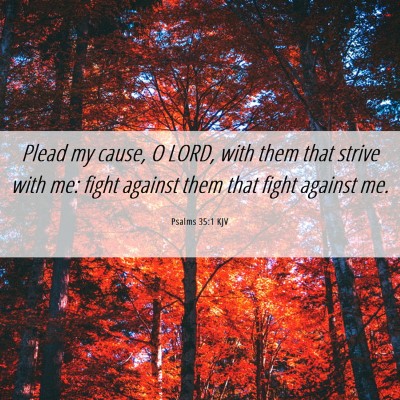 Picture 06 - Psalms 35:1 KJV - Plead my cause, O LORD, with them that strive - Bible Verse Picture