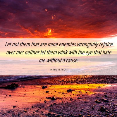 Picture 06 - Psalms 35:19 KJV - Let not them that are mine enemies wrongfully - Bible Verse Picture