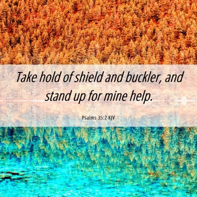 Picture 06 - Psalms 35:2 KJV - Take hold of shield and buckler, and stand up for - Bible Verse Picture