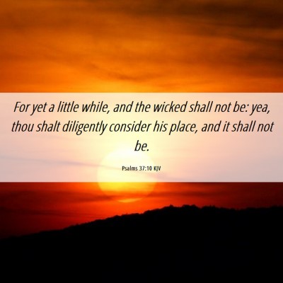 Picture 06 - Psalms 37:10 KJV - For yet a little while, and the wicked shall not - Bible Verse Picture