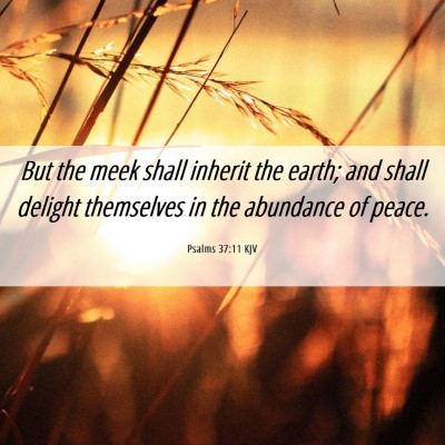 Picture 06 - Psalms 37:11 KJV - But the meek shall inherit the earth; and shall - Bible Verse Picture