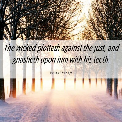 Picture 06 - Psalms 37:12 KJV - The wicked plotteth against the just, and - Bible Verse Picture