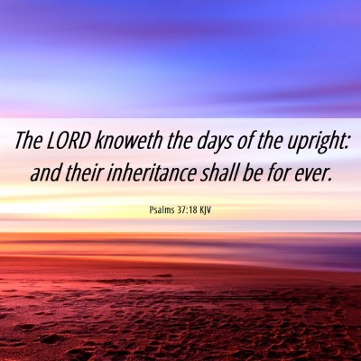 Picture 06 - Psalms 37:18 KJV - The LORD knoweth the days of the upright: and - Bible Verse Picture