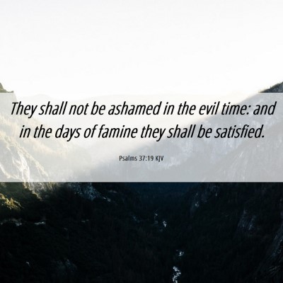 Picture 06 - Psalms 37:19 KJV - They shall not be ashamed in the evil time: and - Bible Verse Picture