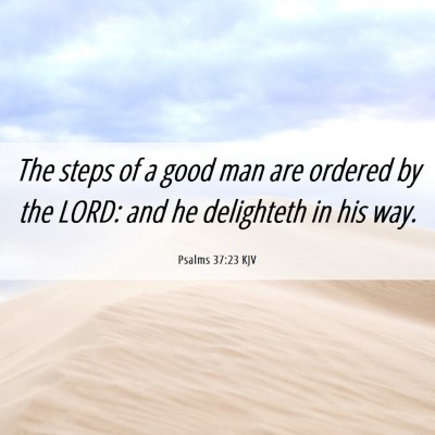Picture 06 - Psalms 37:23 KJV - The steps of a good man are ordered by the LORD: - Bible Verse Picture