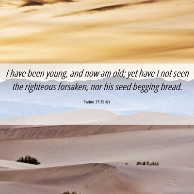 Picture 06 - Psalms 37:25 KJV - I have been young, and now am old; yet have I not - Bible Verse Picture