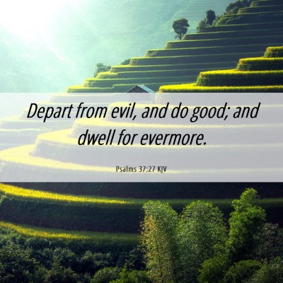 Picture 06 - Psalms 37:27 KJV - Depart from evil, and do good; and dwell for - Bible Verse Picture