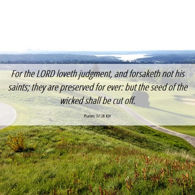 Picture 06 - Psalms 37:28 KJV - For the LORD loveth judgment, and forsaketh not - Bible Verse Picture