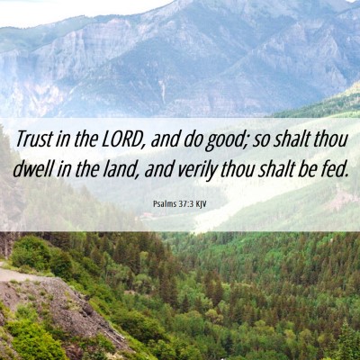 Picture 06 - Psalms 37:3 KJV - Trust in the LORD, and do good; so shalt thou - Bible Verse Picture