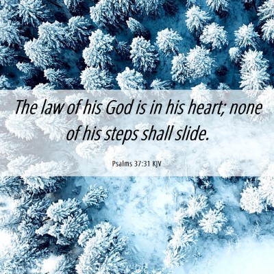 Picture 06 - Psalms 37:31 KJV - The law of his God is in his heart; none of his - Bible Verse Picture