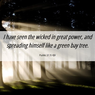 Picture 06 - Psalms 37:35 KJV - I have seen the wicked in great power, and - Bible Verse Picture