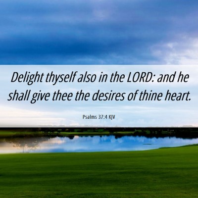 Picture 06 - Psalms 37:4 KJV - Delight thyself also in the LORD: and he shall - Bible Verse Picture