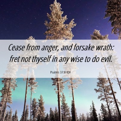 Picture 06 - Psalms 37:8 KJV - Cease from anger, and forsake wrath: fret not - Bible Verse Picture