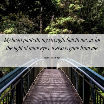 Picture 06 - Psalms 38:10 KJV - My heart panteth, my strength faileth me: as for - Bible Verse Picture