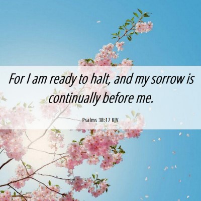 Picture 06 - Psalms 38:17 KJV - For I am ready to halt, and my sorrow is - Bible Verse Picture