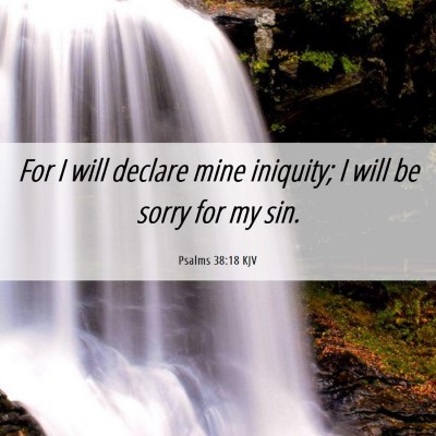 Picture 06 - Psalms 38:18 KJV - For I will declare mine iniquity; I will be sorry - Bible Verse Picture