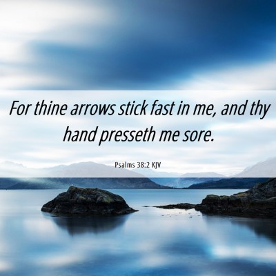Picture 06 - Psalms 38:2 KJV - For thine arrows stick fast in me, and thy hand - Bible Verse Picture