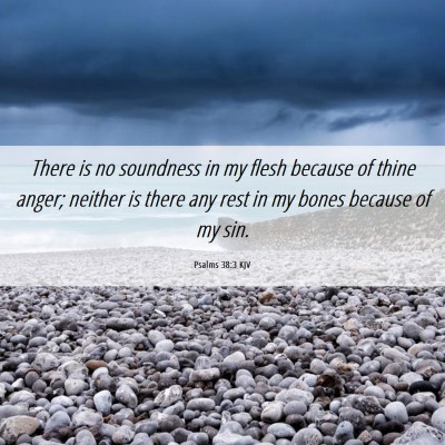 Picture 06 - Psalms 38:3 KJV - There is no soundness in my flesh because of - Bible Verse Picture
